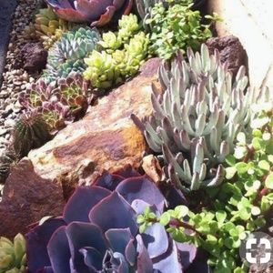 Meet your Posher, Carly